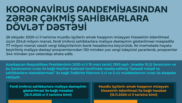İnfoqrafika: Sahibkarlara yardım - Sputnik Azərbaycan