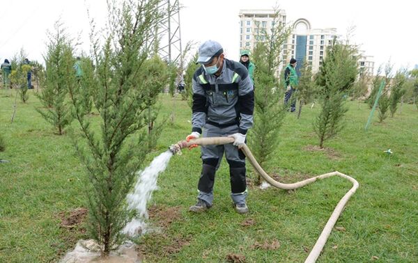  Cезонная посадка деревьев и озеленение территорий в Баку - Sputnik Азербайджан
