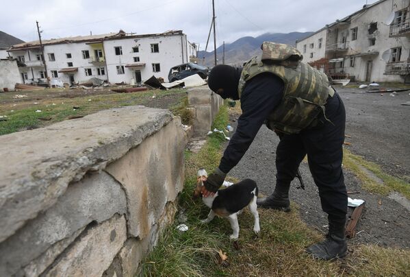 Мужчина гладит щенка во дворе жилого дома в военном городке близ села Суговушан, поврежденного в результате обстрела - Sputnik Азербайджан