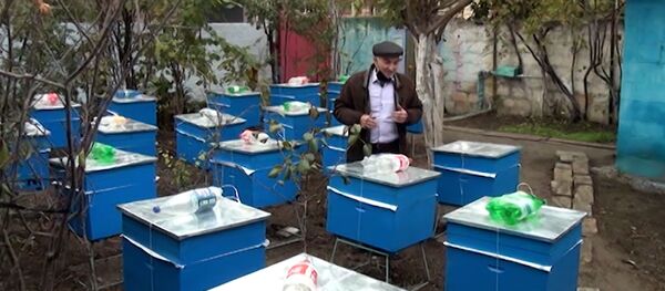 Как пчеловод из Лачина собирается перевезти пасеку в родное село - видео Как пчеловод из Лачина собирается перевезти пасеку в родное село - видео - Sputnik Азербайджан