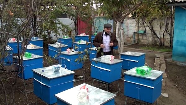 Как пчеловод из Лачина собирается перевезти пасеку в родное село - видео - Sputnik Азербайджан