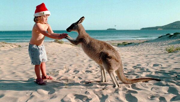 Девочка с кенгуру на пляже накануне Рождества в Австралии  - Sputnik Азербайджан