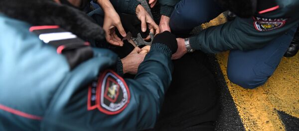 Акция протеста в Ереване - Sputnik Азербайджан