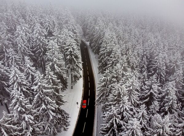 Автомобиль на ведущей сквозь заснеженный лес дороге недалеко от Франкфурта, Германия  - Sputnik Азербайджан