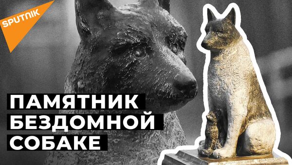Как пес Жорик стал символом всех бездомных животных в Эстонии - Sputnik Азербайджан