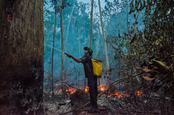 Тушение лесных пожаров в Бразилии - Sputnik Azərbaycan