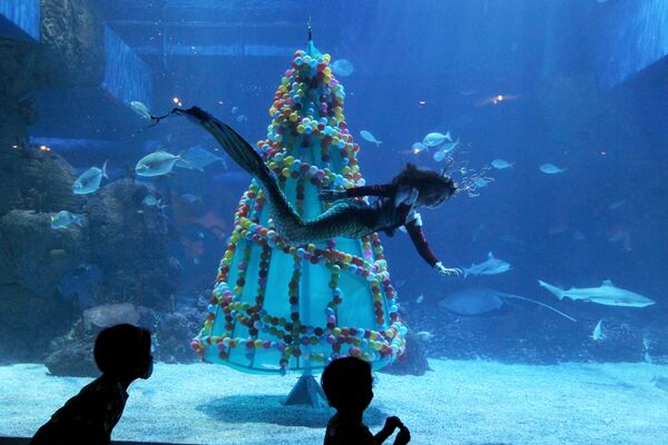 дайвер проплывает мимо рождественской елки в аквариуме Джакарты - Sputnik Азербайджан