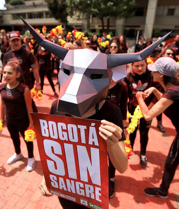 Участник акции протеста против сезона корриды в Боготе, Колумбия - Sputnik Azərbaycan
