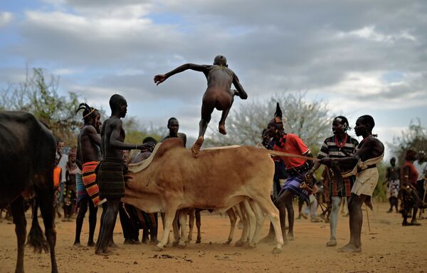 Мужчина во время церемонии прыжков через быка в Эфиопии  - Sputnik Azərbaycan