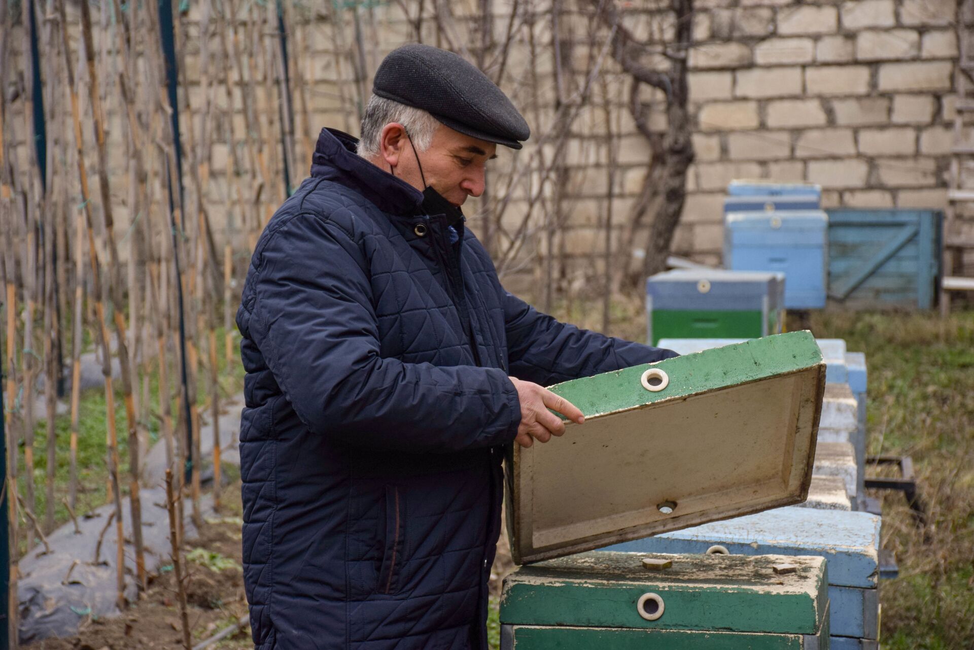 Товар в Азербайджан не продается: пасечники жалуются на закон о пчеловодстве - Sputnik Азербайджан, 1920, 14.02.2021