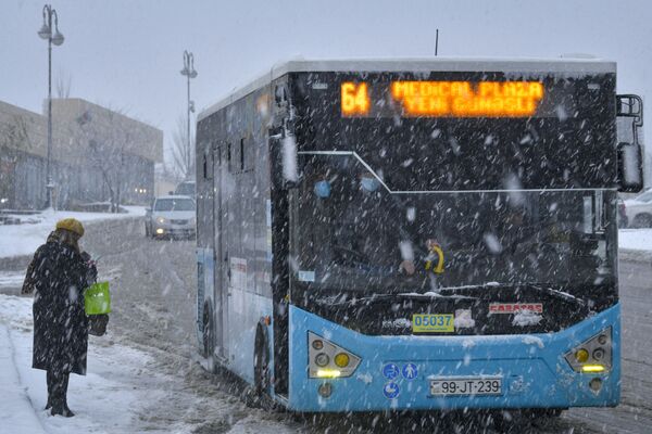 Первый снег в Баку - Sputnik Azərbaycan