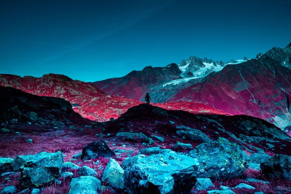 Снимок Life on Mars фотографа Katie Farr, победивший в категории IRchrome конкурса 2nd Life in Another Light Photo Contest - Sputnik Азербайджан