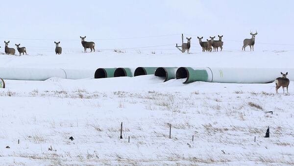 Трубы для нефтепровода Keystone XL в Гаскойне, Северная Дакота - Sputnik Азербайджан