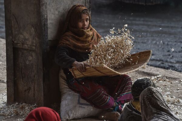 Девочка чистит чеснок на рынке в Лахоре, Пакистан  - Sputnik Azərbaycan