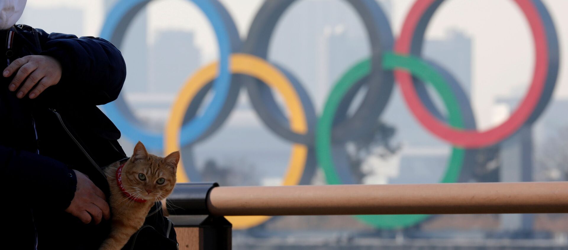 Мужчина с котом в сумке на фоне олимпийских колец в Токио - Sputnik Азербайджан, 1920, 30.01.2021