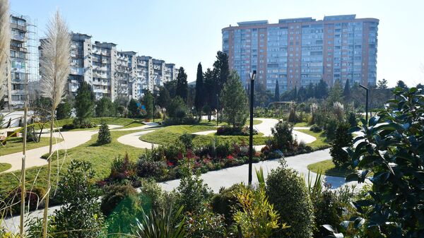 Yasamal rayonunda yeni salınan meşə tipli park, arxiv şəkli - Sputnik Azərbaycan