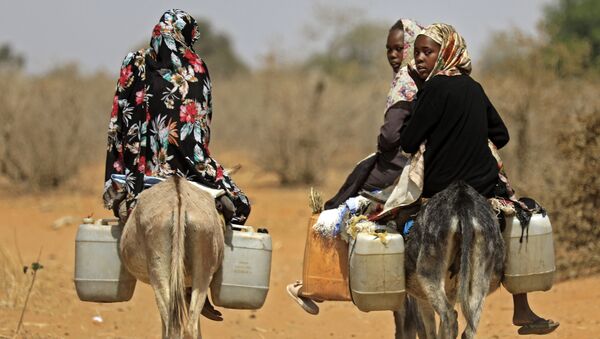  Суданские женщины перевозят воду на осликах в деревне в 85 км к югу от города Ньяла - Sputnik Azərbaycan