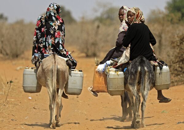  Суданские женщины перевозят воду на осликах в деревне в 85 км к югу от города Ньяла - Sputnik Азербайджан