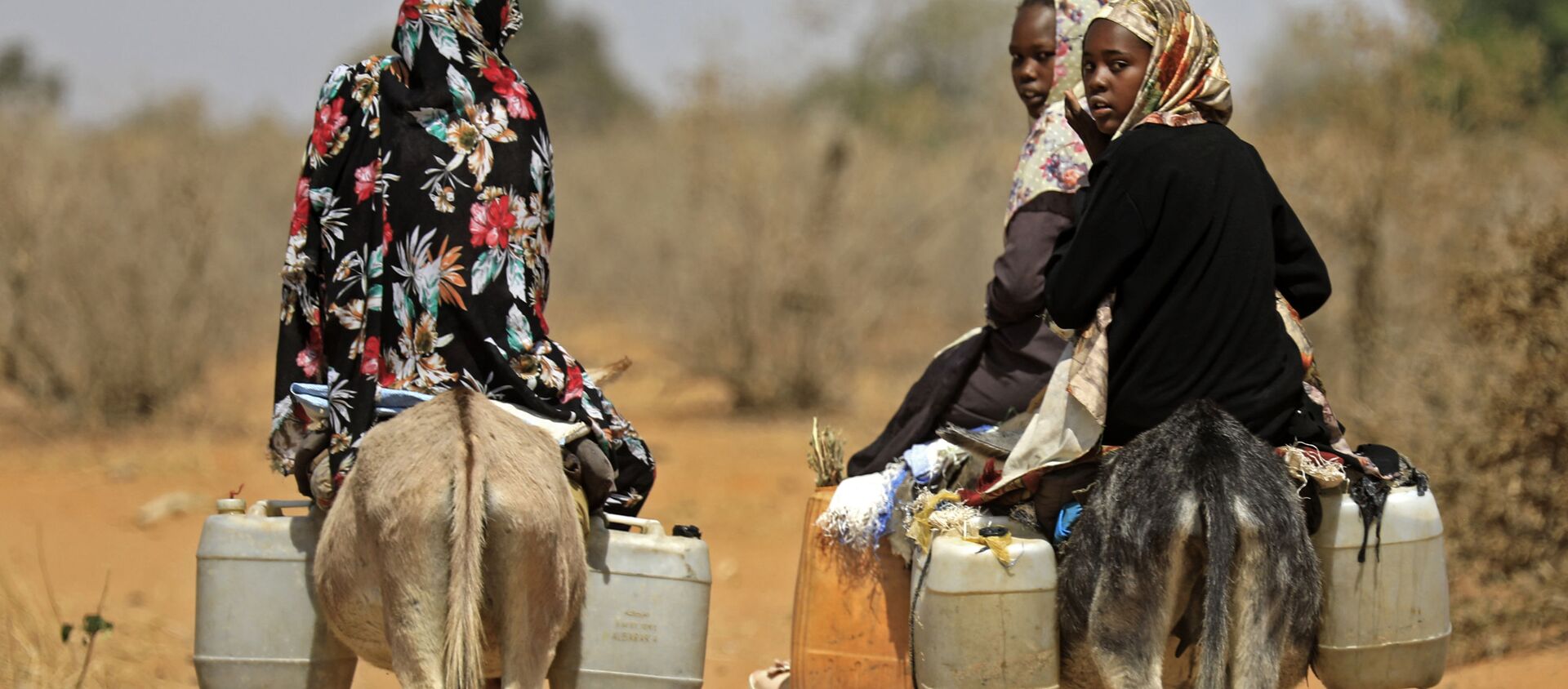  Суданские женщины перевозят воду на осликах в деревне в 85 км к югу от города Ньяла - Sputnik Азербайджан, 1920, 06.02.2021