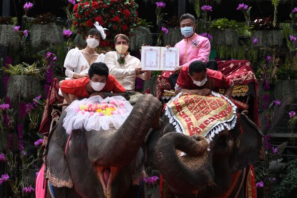 Пара получает свидетельство о браке от провинциального офицера, когда они катаются на слонах в тропическом саду Нонг Нуч в провинции Чонбури, Таиланд - Sputnik Azərbaycan