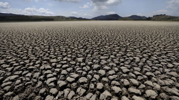 Засуха, фото из архива - Sputnik Азербайджан