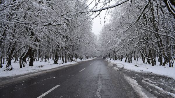Снег, фото из архива - Sputnik Азербайджан