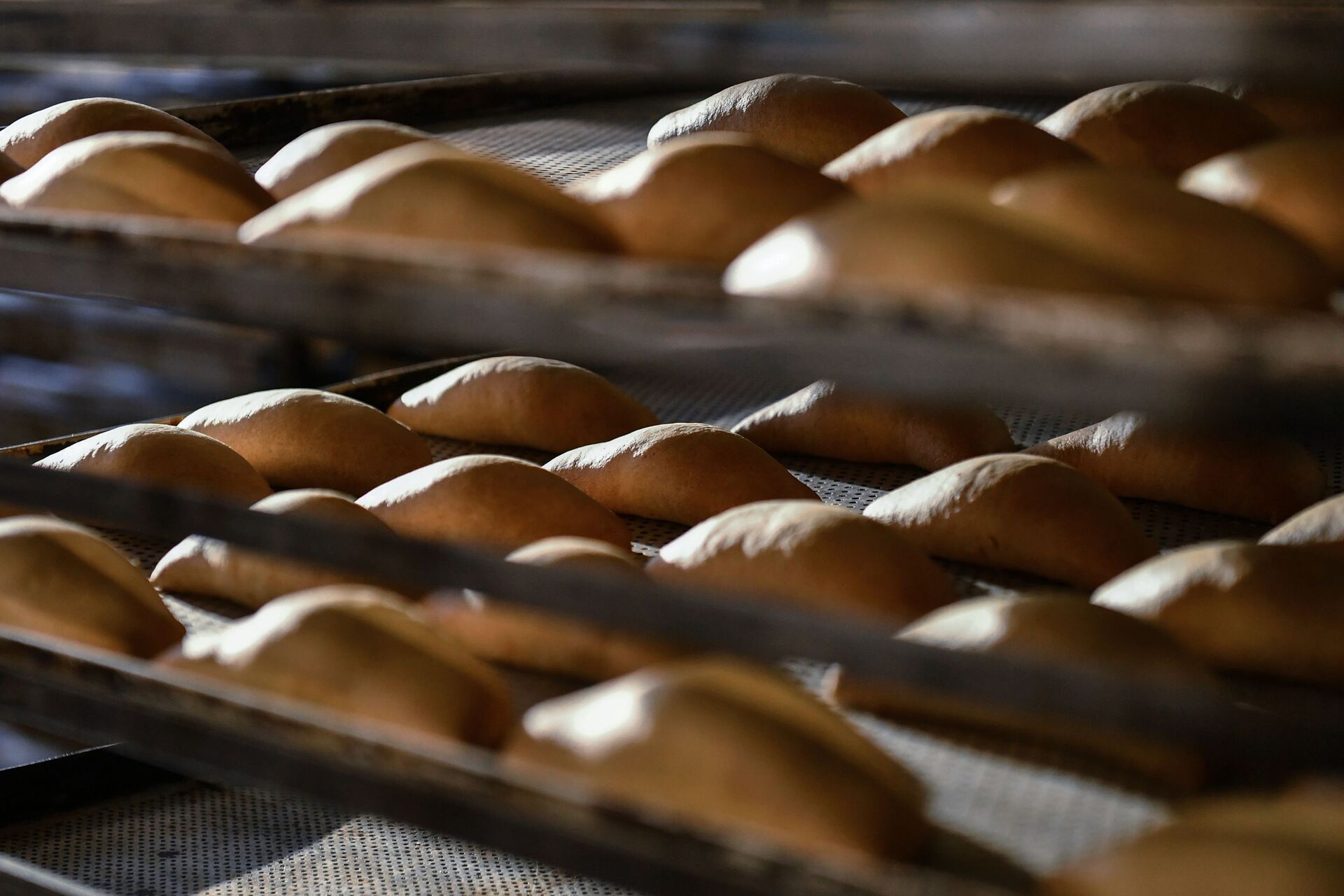 Производство хлеба, фото из архива - Sputnik Azərbaycan, 1920, 08.01.2023