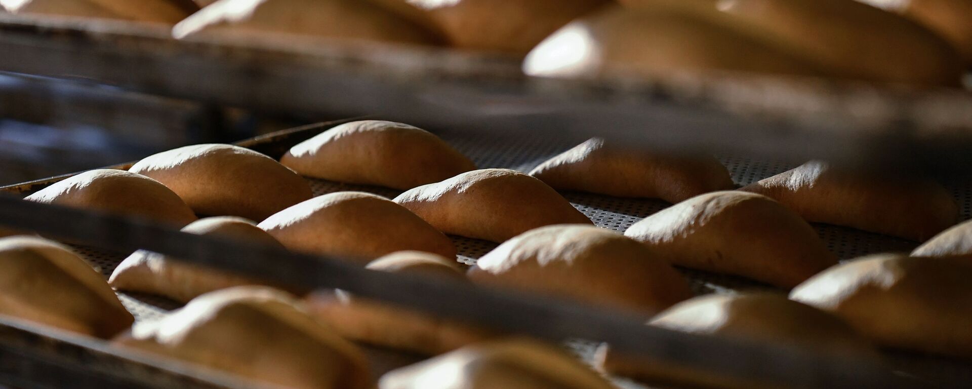 Производство хлеба, фото из архива - Sputnik Азербайджан, 1920, 25.02.2021