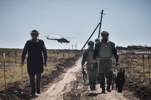 Специалисты Национального агентства по разминированию Азербайджана со служебными собаками на месте разминирования - Sputnik Азербайджан