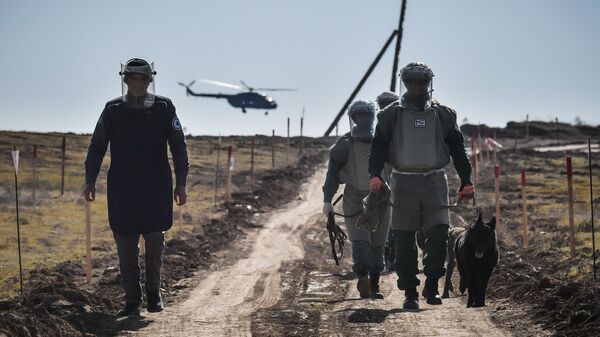 Специалисты Национального агентства по очистке от мин территорий Азербайджана (ANAMA) со служебными собаками на месте разминирования - Sputnik Азербайджан