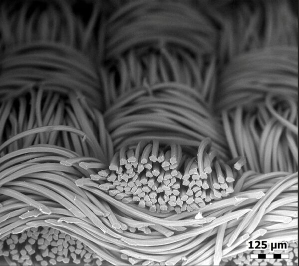Волокна маски из полиэстера под микроскопом  - Sputnik Азербайджан
