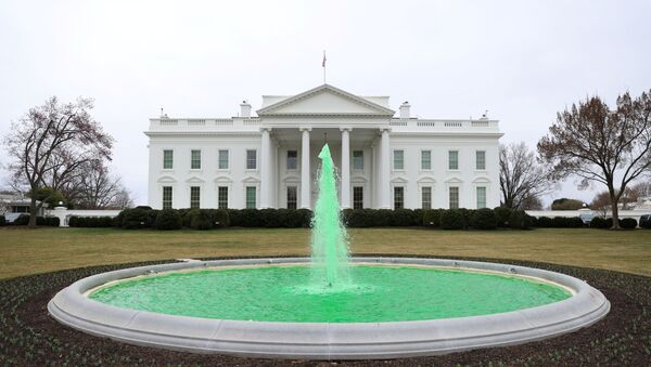 Вид на Белый дом в Вашингтоне, фото из архива - Sputnik Azərbaycan
