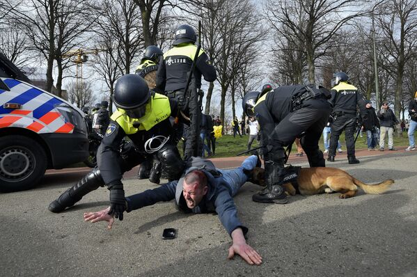 Полицейские во время задержания участника антиправительственной демонстрации в Гааге, Нидерланды - Sputnik Азербайджан