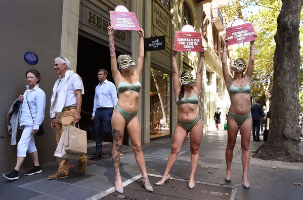 Активисты группы по защите прав животных PETA перед магазином французского модного бренда Hermes в Мельбурне - Sputnik Азербайджан