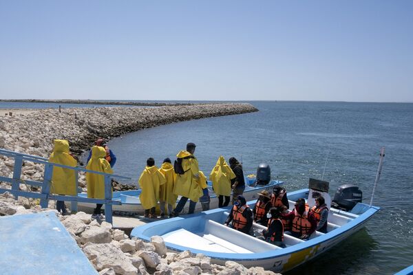 Тур на лодках к китам в Мексике  - Sputnik Azərbaycan