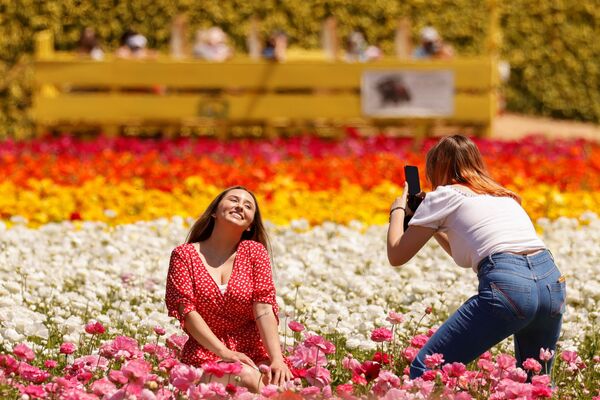 Девушки фотографируются на «Цветочных полях» в Карлсбаде, США - Sputnik Азербайджан