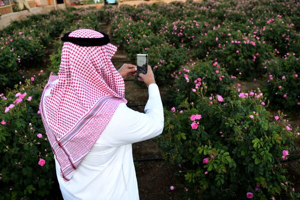 Мужчина из Саудовской Аравии делает снимок розового сада в городе Эт-Таиф - Sputnik Азербайджан