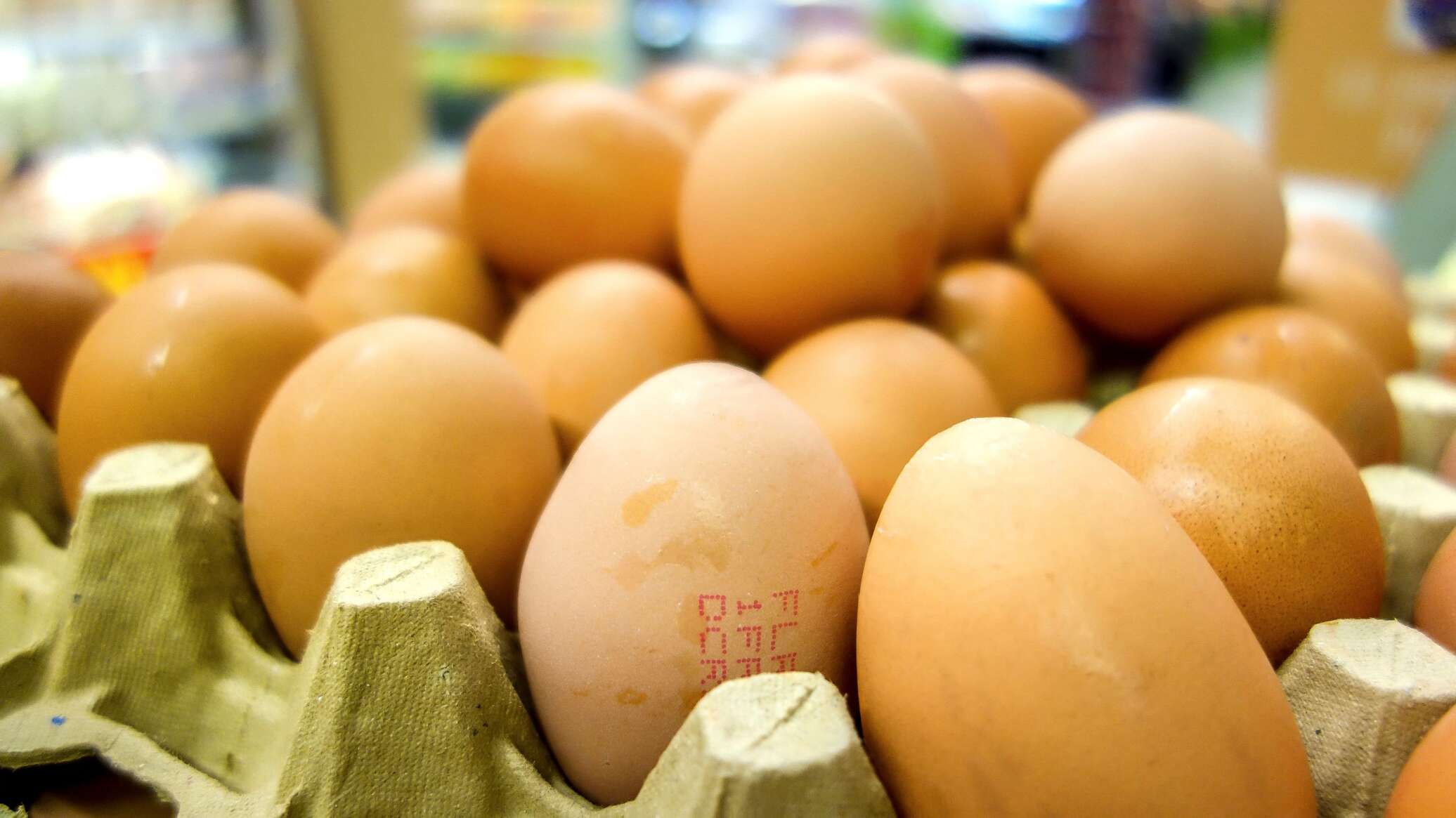 Яйца купить рязань. Производство яиц. Импортные яйца. Азербайджанские яйца. Яйца России.