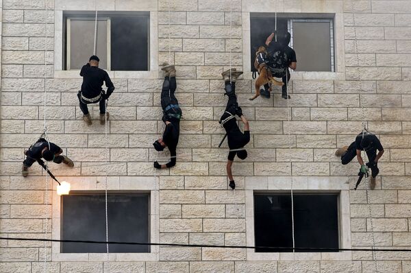 Палестинские члены сил безопасности ХАМАС спускаются по стене здания - Sputnik Азербайджан
