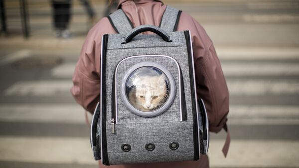 Женщина несет кошку в рюкзаке холодным весенним днем ​​в центре Осло, Норвегия - Sputnik Азербайджан