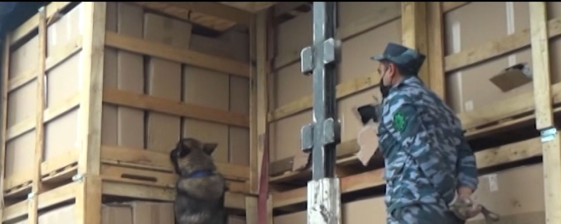 Сотрудник таможни с собакой проверяет груз - Sputnik Азербайджан, 1920, 01.05.2021