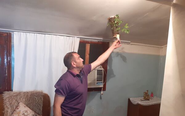 В Геранбойском районе ветер повалил дерево на крышу жилого дома - Sputnik Азербайджан
