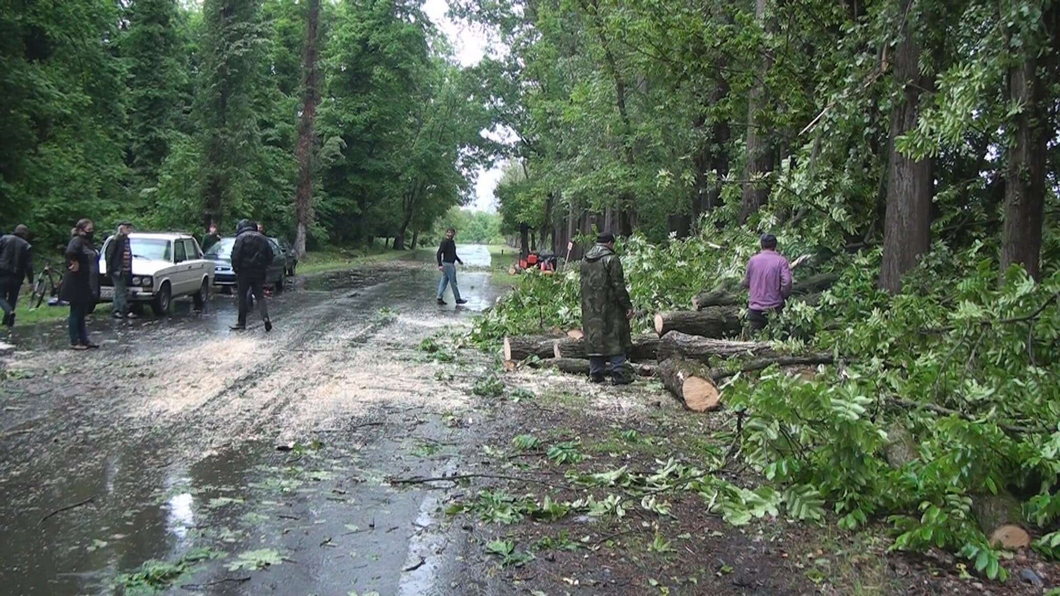 Сильный ветер срывает крыши и валит деревья в Азербайджане