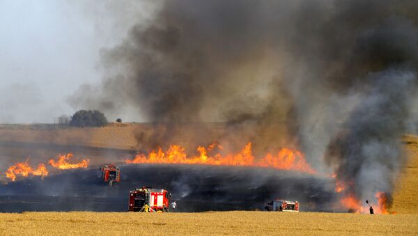 Пожар на пшеничном поле, фото из архива - Sputnik Azərbaycan