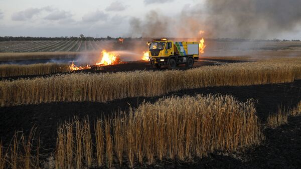 Пожар на пшеничном поле, фото из архива - Sputnik Azərbaycan