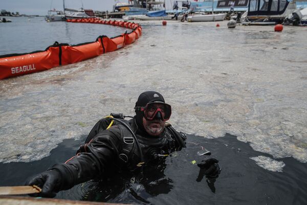 Дайвер в воде во время очистки моря от слизи в Турции  - Sputnik Азербайджан