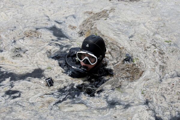Дайвер во время очистки моря от слизи в Турции  - Sputnik Azərbaycan