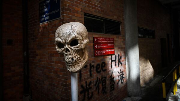 Череп на трубе во входе в университет в Гонконге, фото из архива - Sputnik Азербайджан