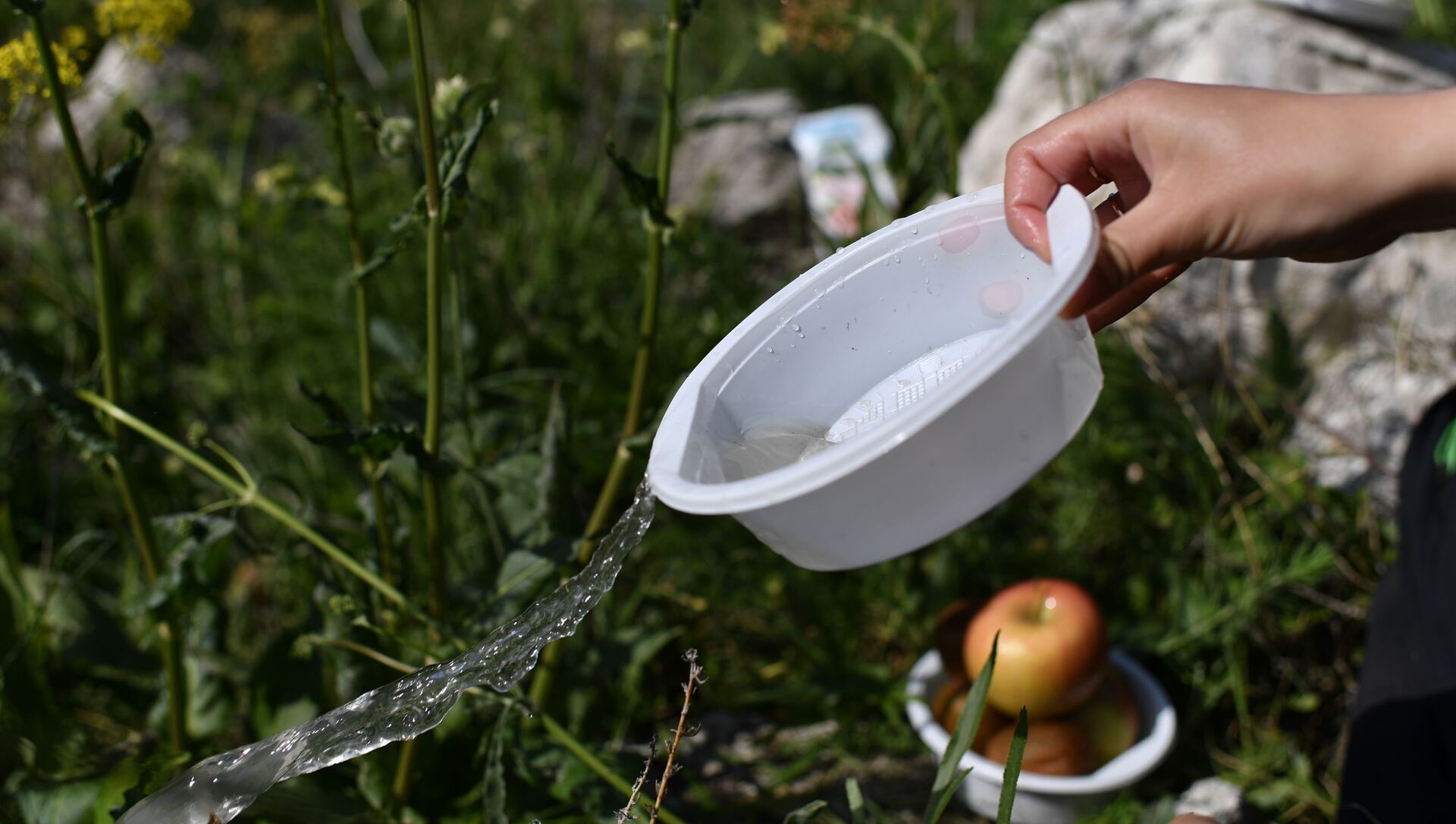 Пластиковая посуда используется во время пикника. - Sputnik Азербайджан, 1920, 22.06.2021