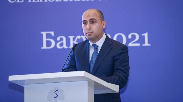 Министр образования Азербайджанской Республики Эмин Амруллаев - Sputnik Азербайджан